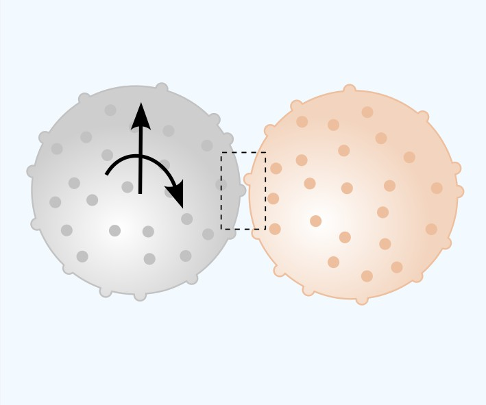 Thumbnail for Hydrodynamic origin of friction between suspended rough particles